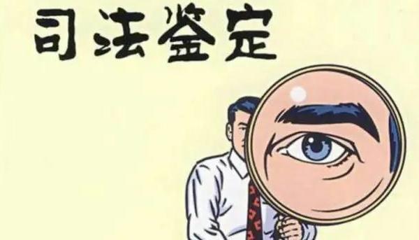 五次鉴定唯有重庆鉴定机构作出鉴定意见，疑难医疗鉴定可参考本案