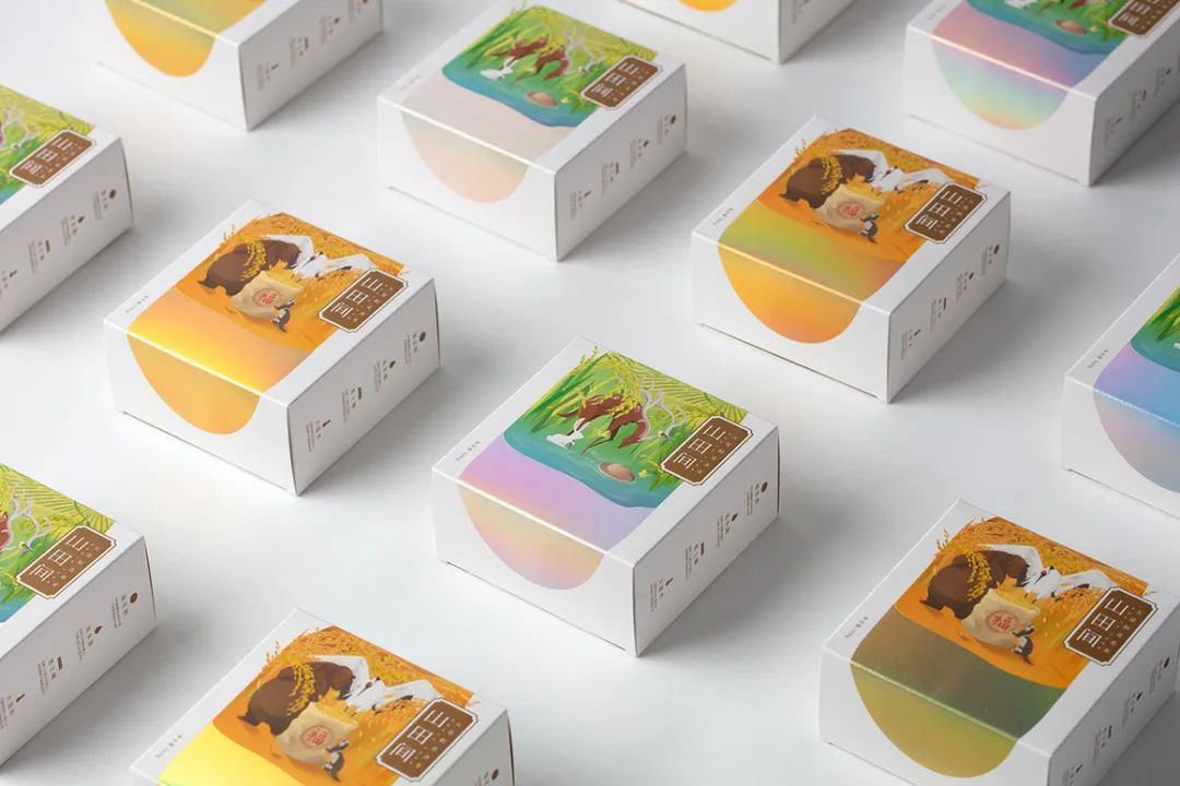 闀囨睙澶х背鍖呰璁捐,澶х背鍖呰璁捐娴欐睙