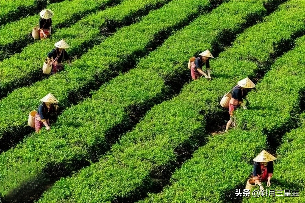浜斿緥鑷,浜斿緥鏅氬勾鎰熸偀