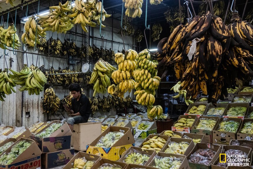 在一个小岛上种地卖菜是什么游戏,在一个岛上种地