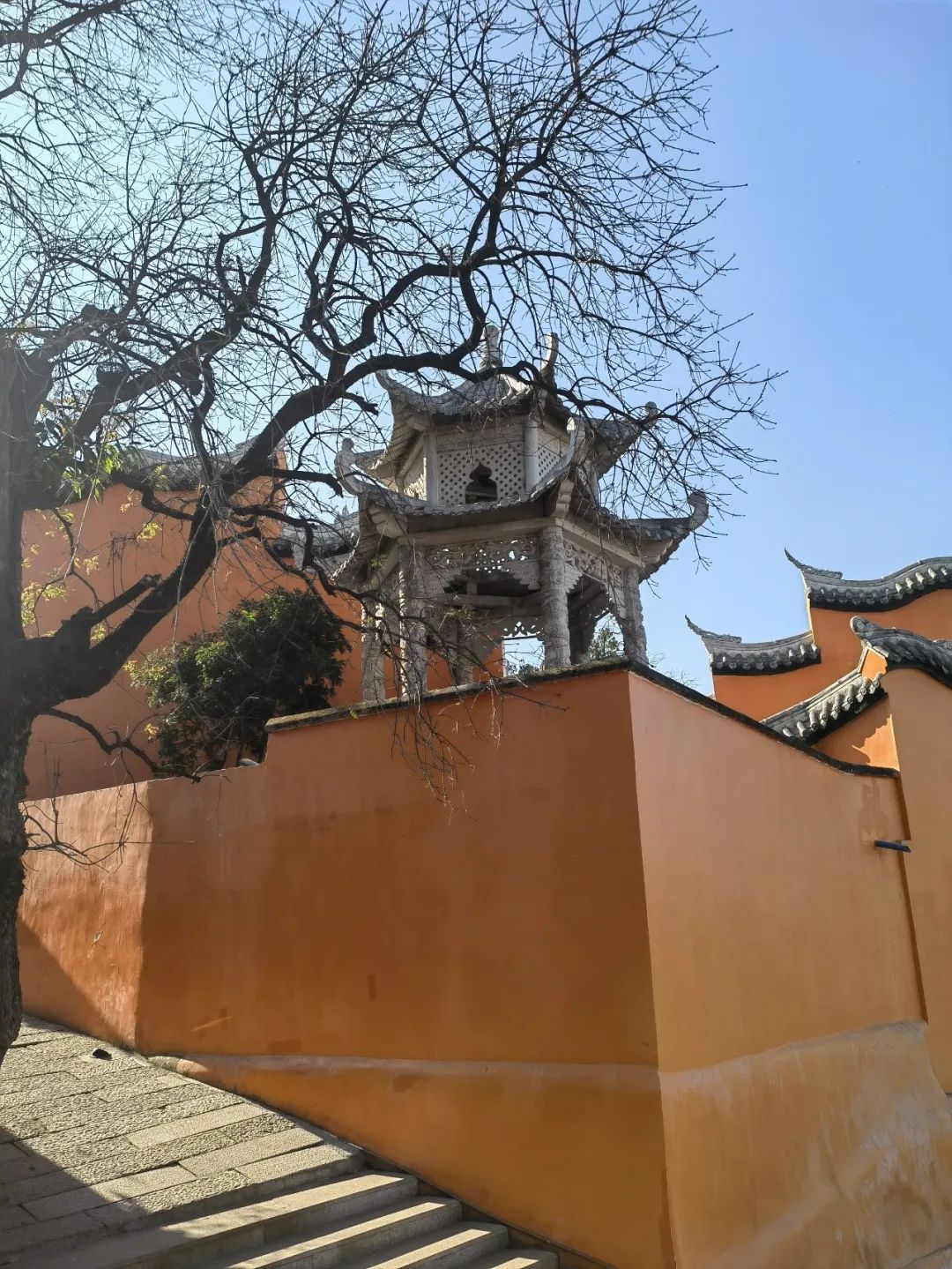 外地朋友来四川吃美食,外地朋友来四川吃苍蝇馆子