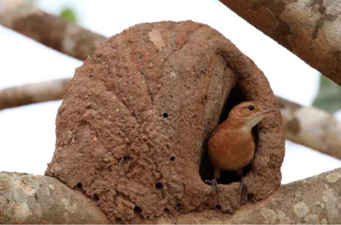 明明是塑料，为什么却叫玻璃钢？玻璃钢到底是什么材料