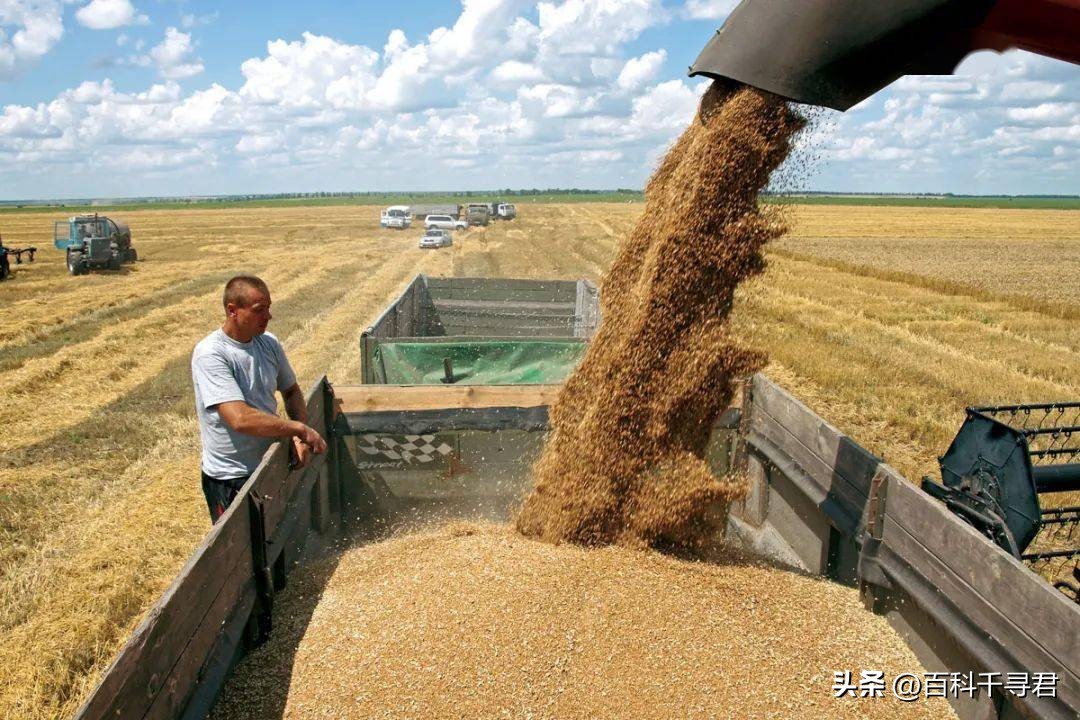 各国主要出口的商品是啥？非洲南美是初级产品，欧洲东亚是工业品