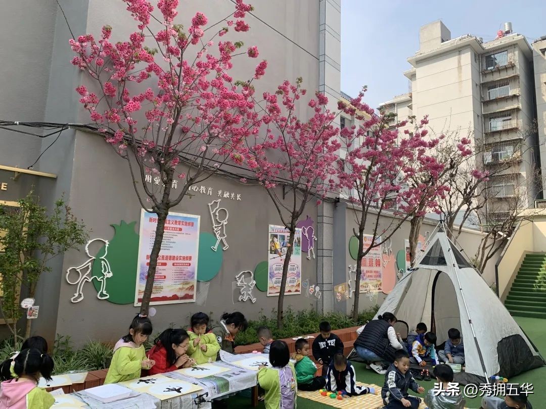 把春天装进校园里作文,把春天装进眼里