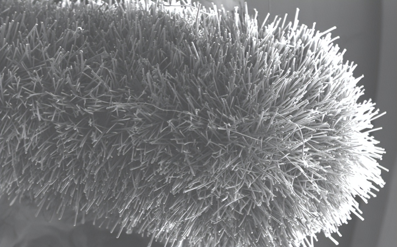 做核酸的棉签有什么用,原来做核酸用的不是棉签