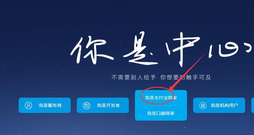 对接支付宝支付接口开发详细步骤,支付宝支付接口申请教程