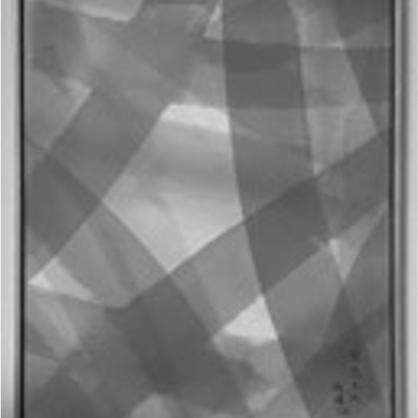 “FossilsDance－太古⽯的舞痕”