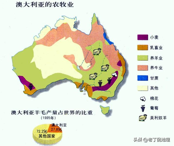 世界杯巡礼桑巴军团6,世界杯袋鼠军团