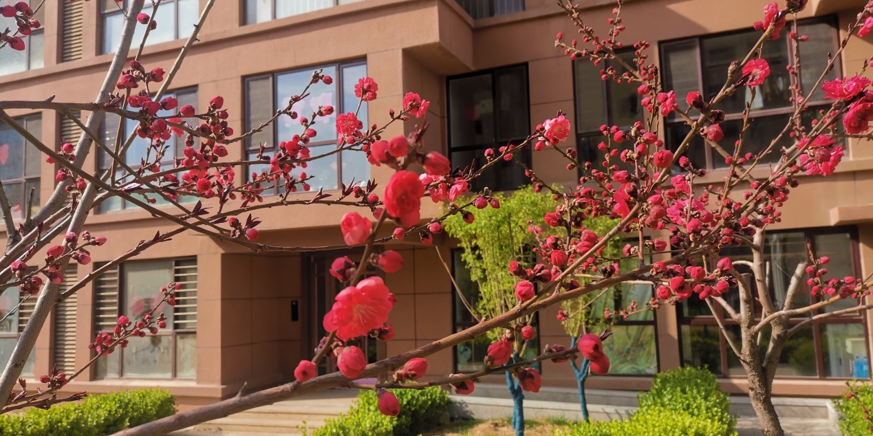 中泽纯境园林简介,中泽纯境园林