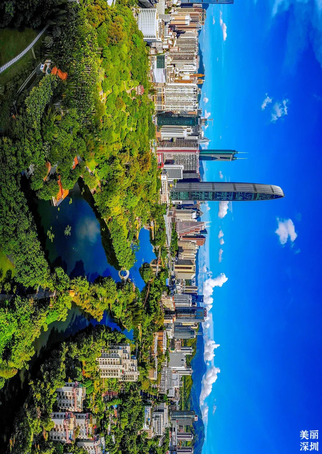 深圳最美公园是什么样子的,深圳市最美公园图片欣赏