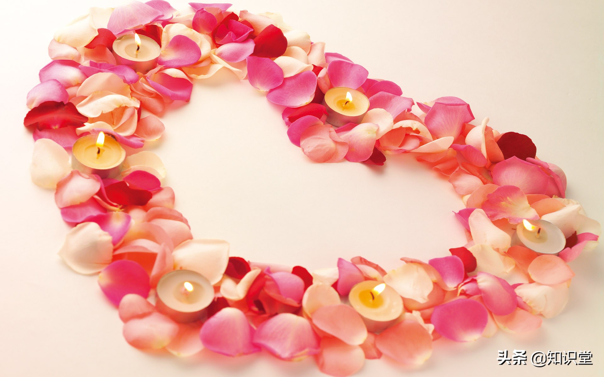 情人节的浪漫感人话语,情人节催人恋爱的祝福语简短句