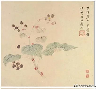 花鸟工笔白描100张简单,重彩工笔花鸟白描