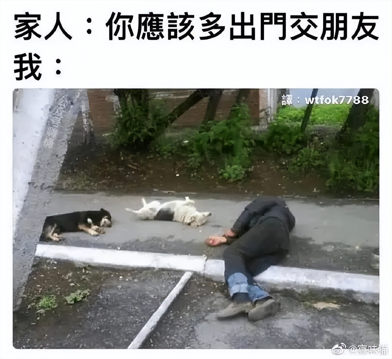 没十年工龄背不出这通勤包|冷段子2520去年今日2162