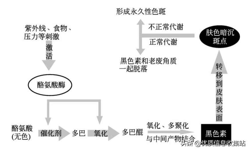 护肤书单爆款,美容化妆品书籍