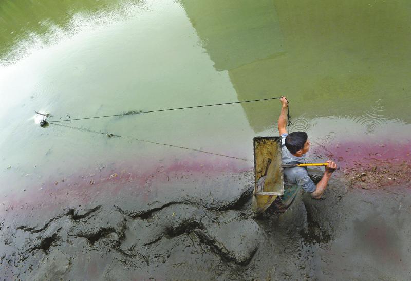 河里捞红虫赚钱吗,捞红虫一天能赚一万元