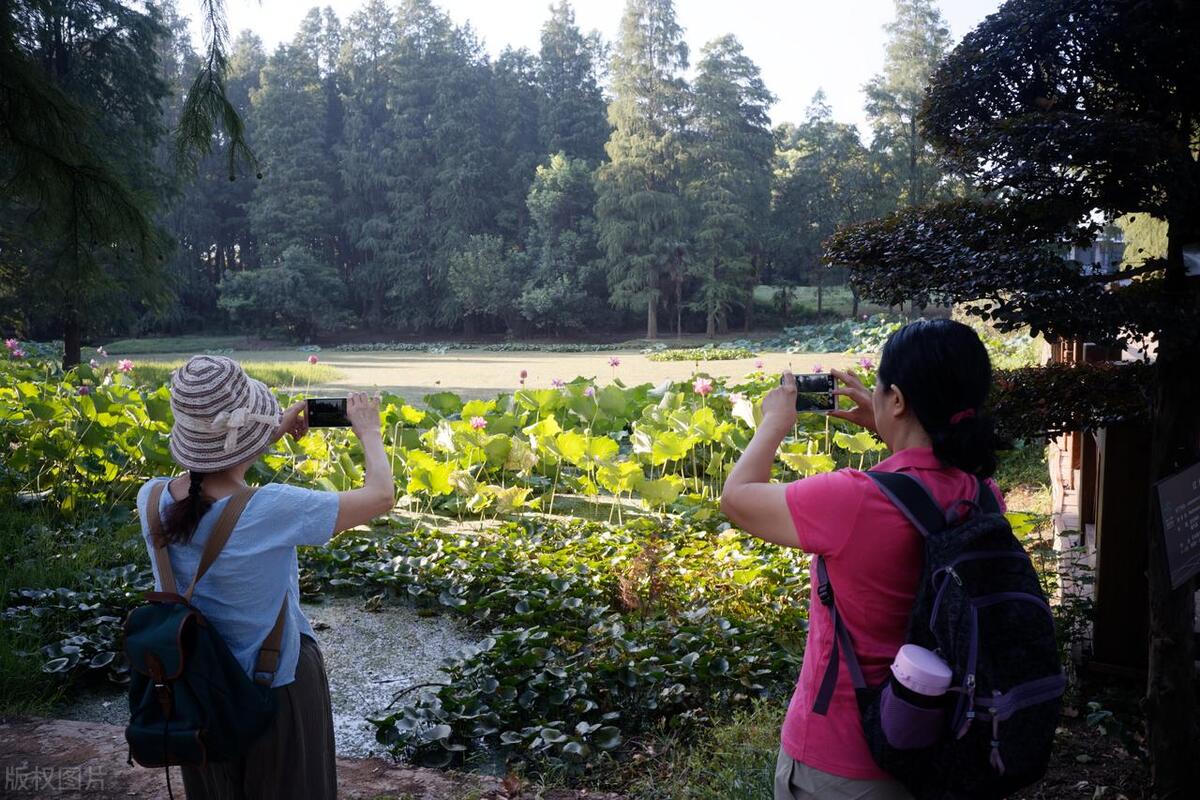 婆婆带她好多朋友来家里聚会,婆媳带着我们去旅游
