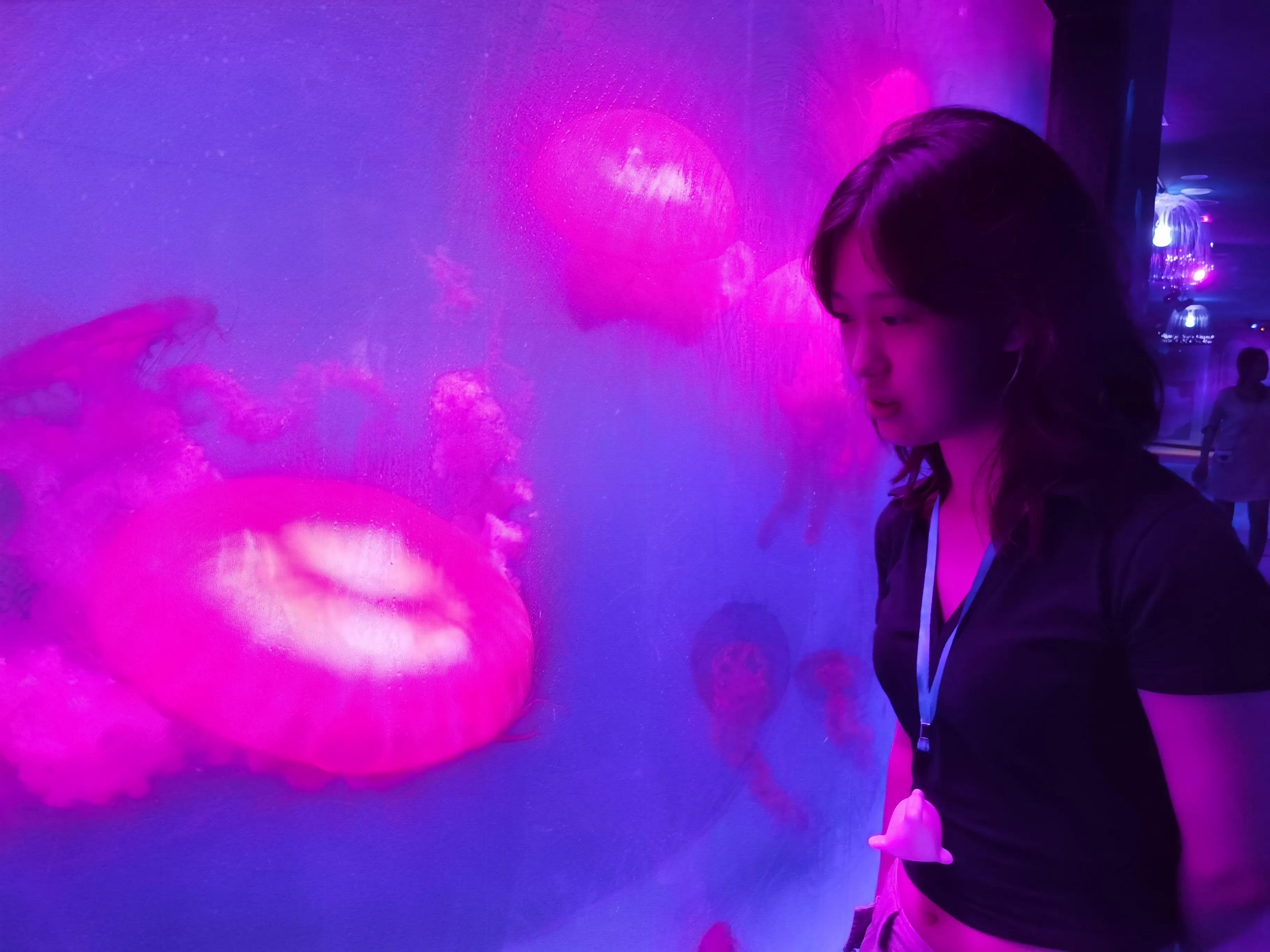 海昌极地海洋公园99元夜场票,海昌海洋极地公园攻略