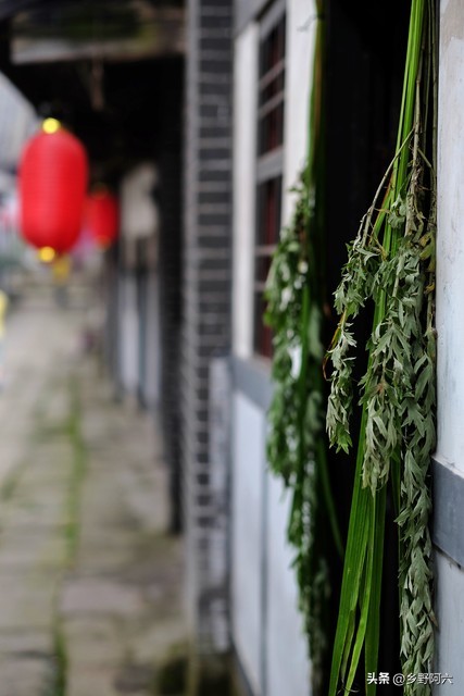 端午挂艾草有讲究吗挂几棵好,艾草不挂放在门口可以么