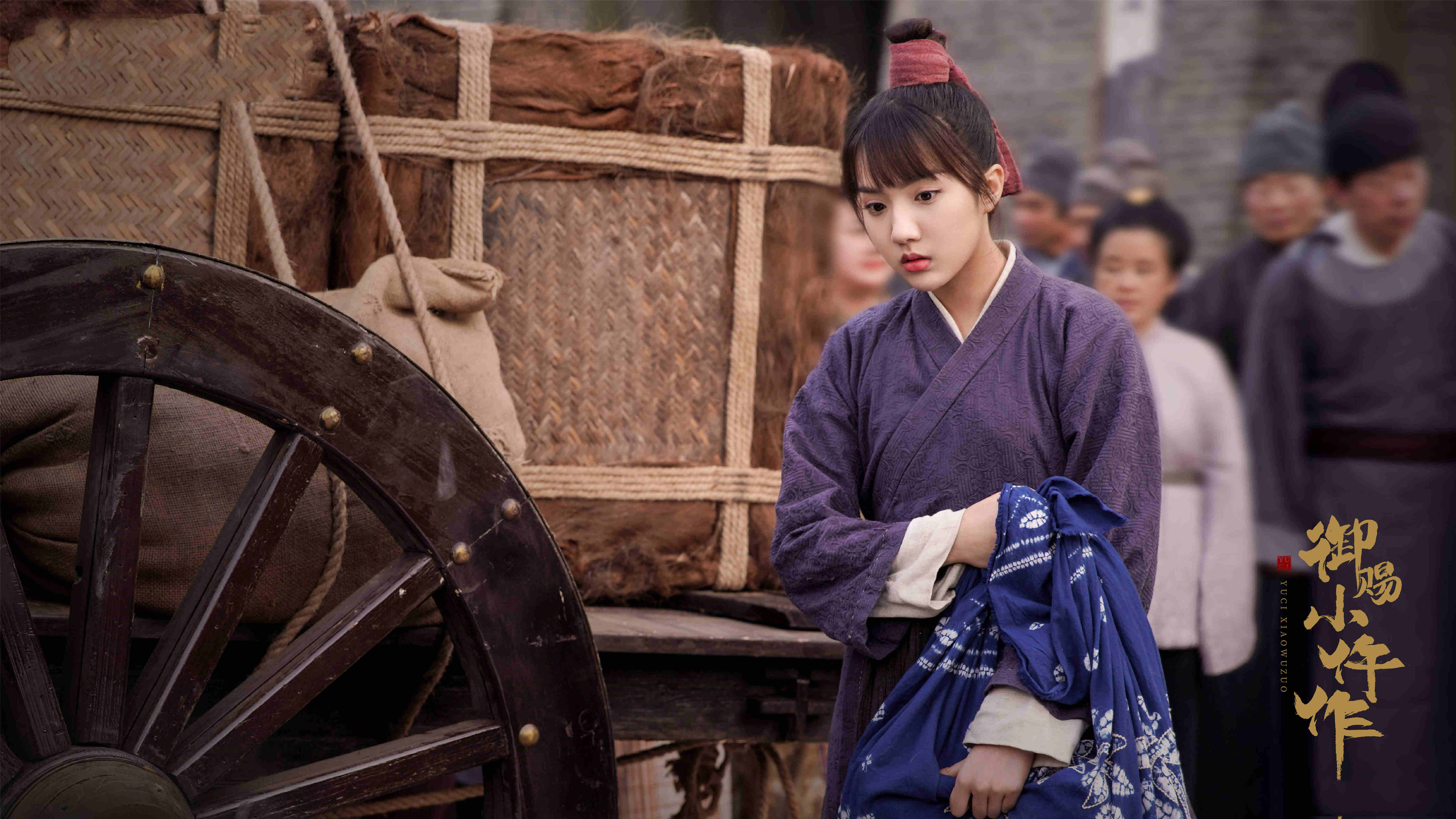 悬疑剧古装排行榜前十名,刑侦悬疑电视剧御赐小仵作