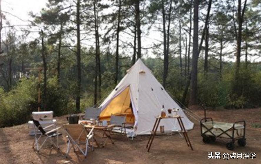 贵州男子被“剧毒银环蛇”咬伤，提蛇去就医，医生看后长舒一口气