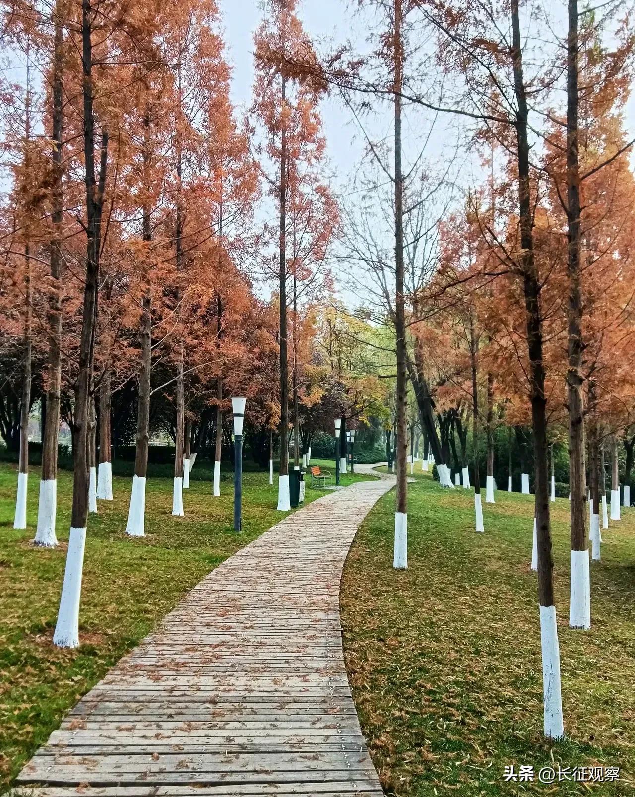 西安“四区联动”效果初现，刘国中强调继续加大措施力度