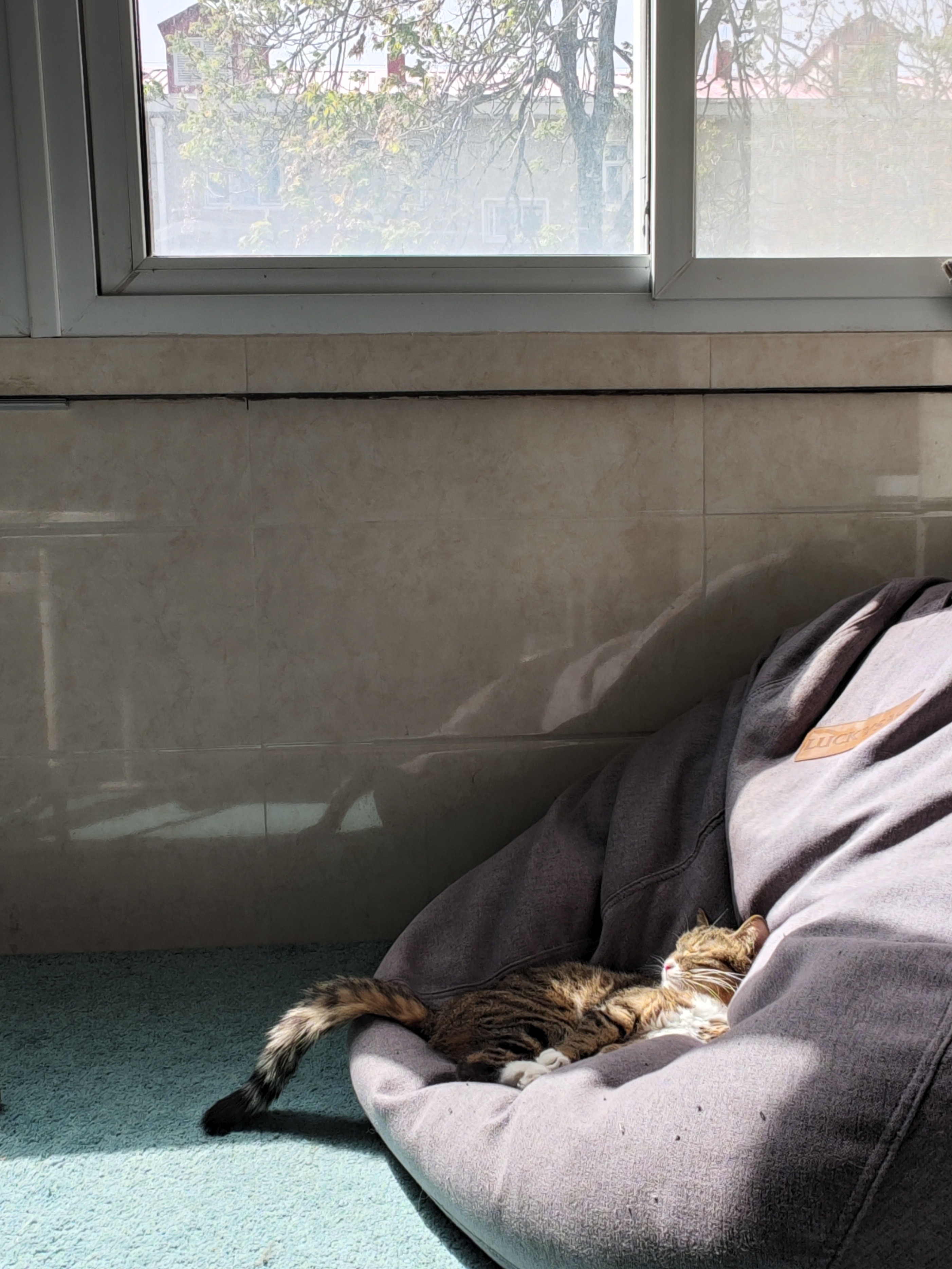 微信朋友圈突然消失了是什么原因,为什么好多人都消失在朋友圈了