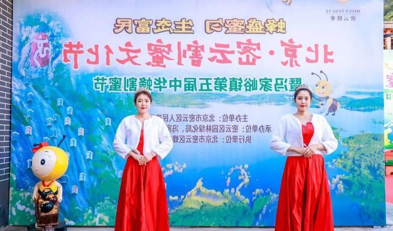 竟然占北京市蜂群的一半以上。