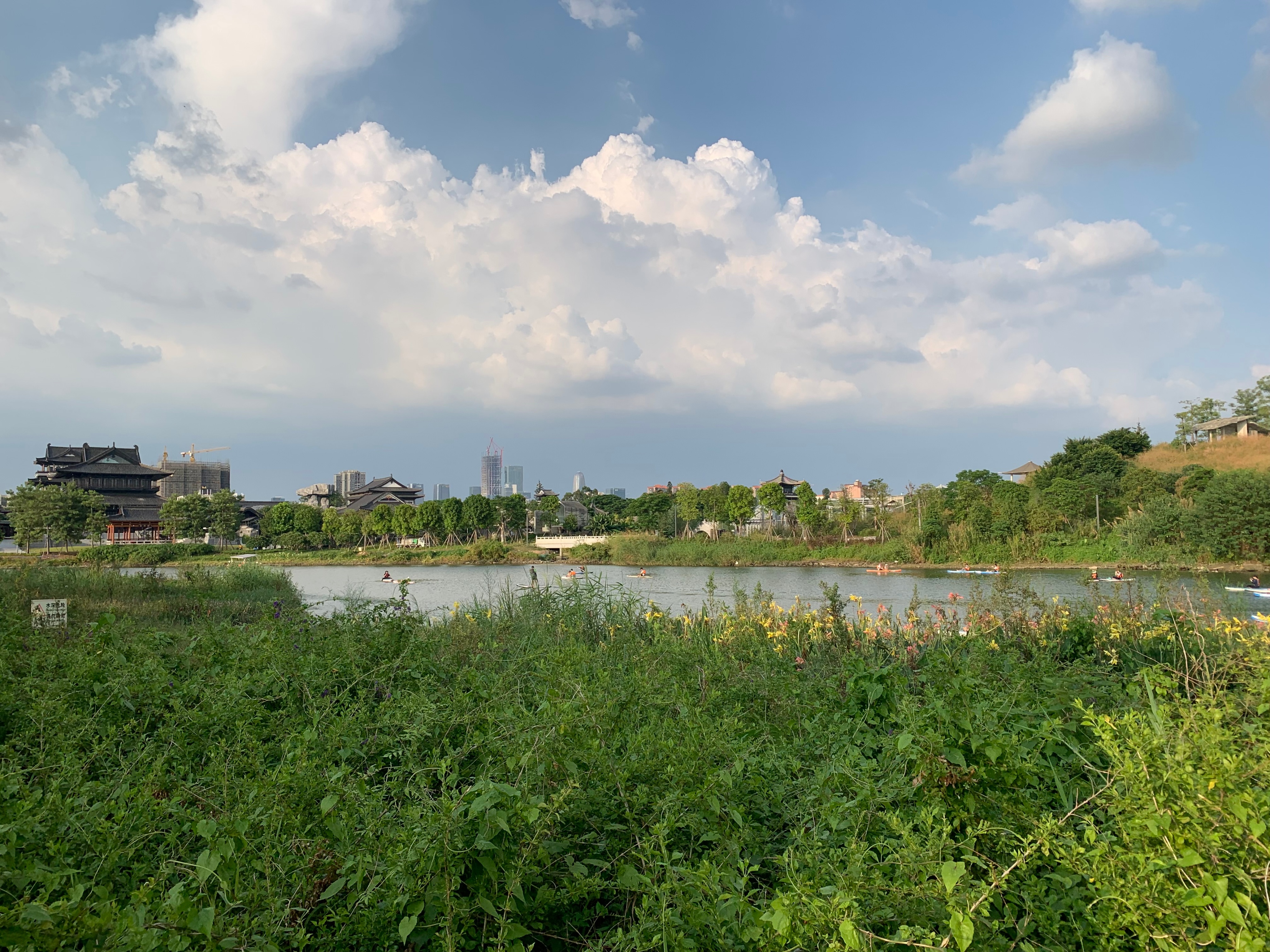 广州国庆假期一日游:南肾海珠湖国家湿地公园的最佳旅游攻略