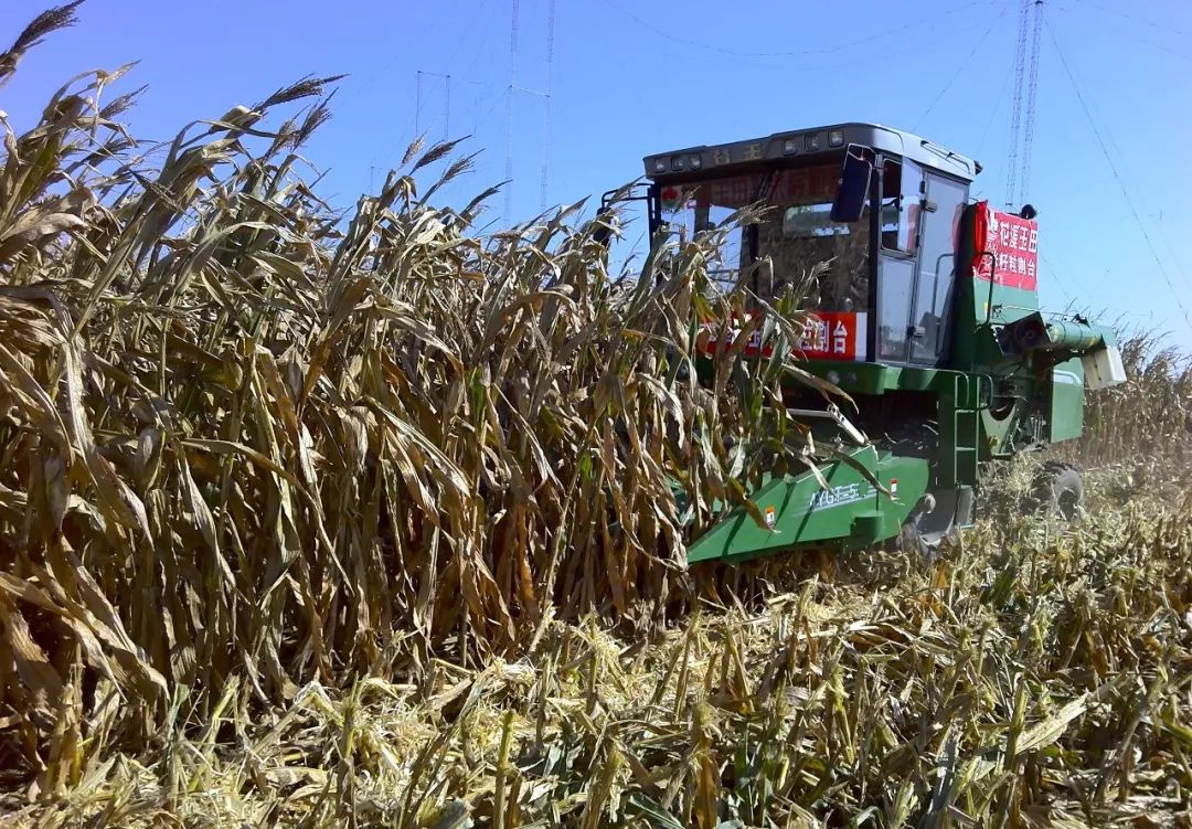 复合肥尿素价格最新报价,用肥成本表