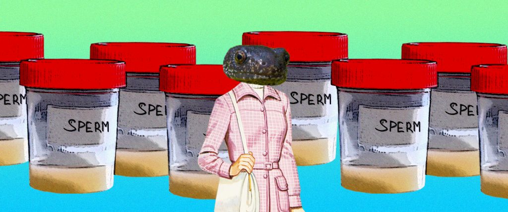 全员雌性，靠偷别人的精子繁衍后代…这种动物让科学家都迷惑了