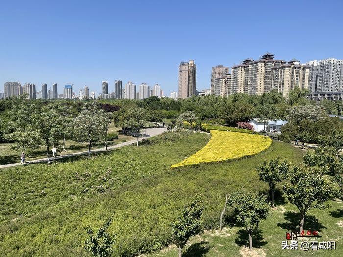 何须远游,何须远行赴灵山