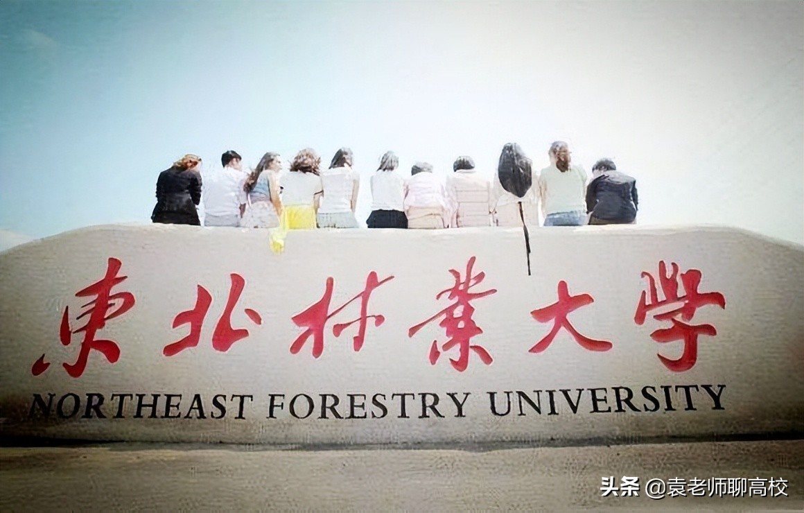 南京林业大学是211还是985呢,南京林业大学是985还是211大学