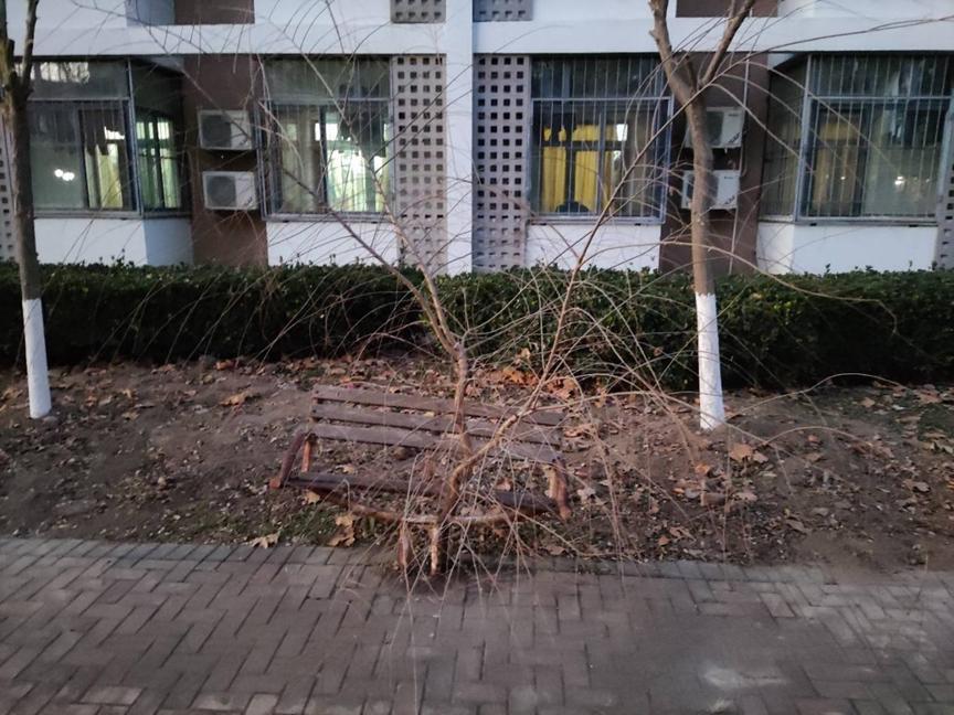 美丽校园行-2|历史生眼中的天津师范大学主校区