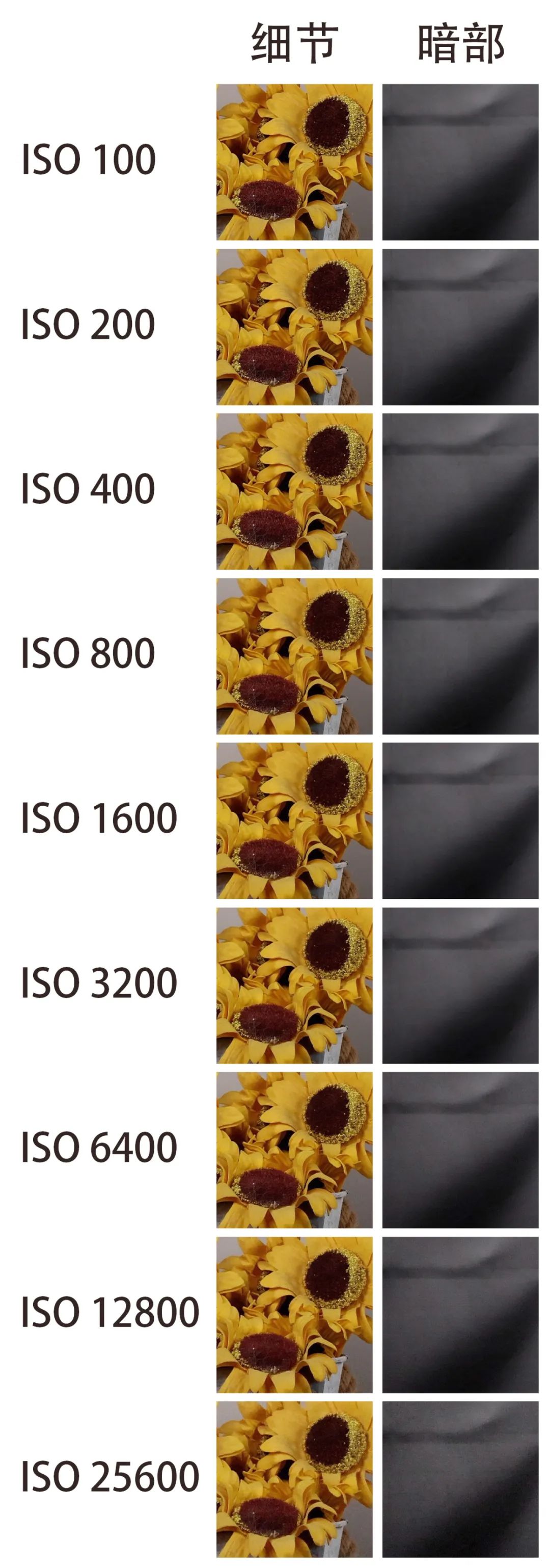 有必要升级佳能R3吗？详细为你分析R3摄影及视频性能