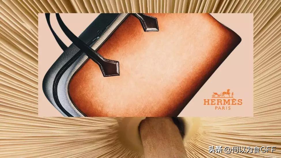 蘑菇发展史,蘑菇历史剪辑