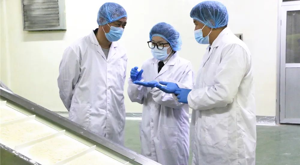 莱州面包,莱州出口面粉系列