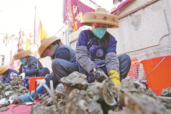金蚝节在哪里,金蚝节免费观看