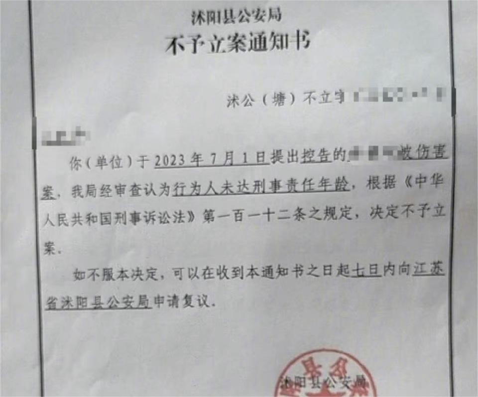 女童遭两少年用弹弓射伤后续,8岁女童被弹弓射伤失明专案组