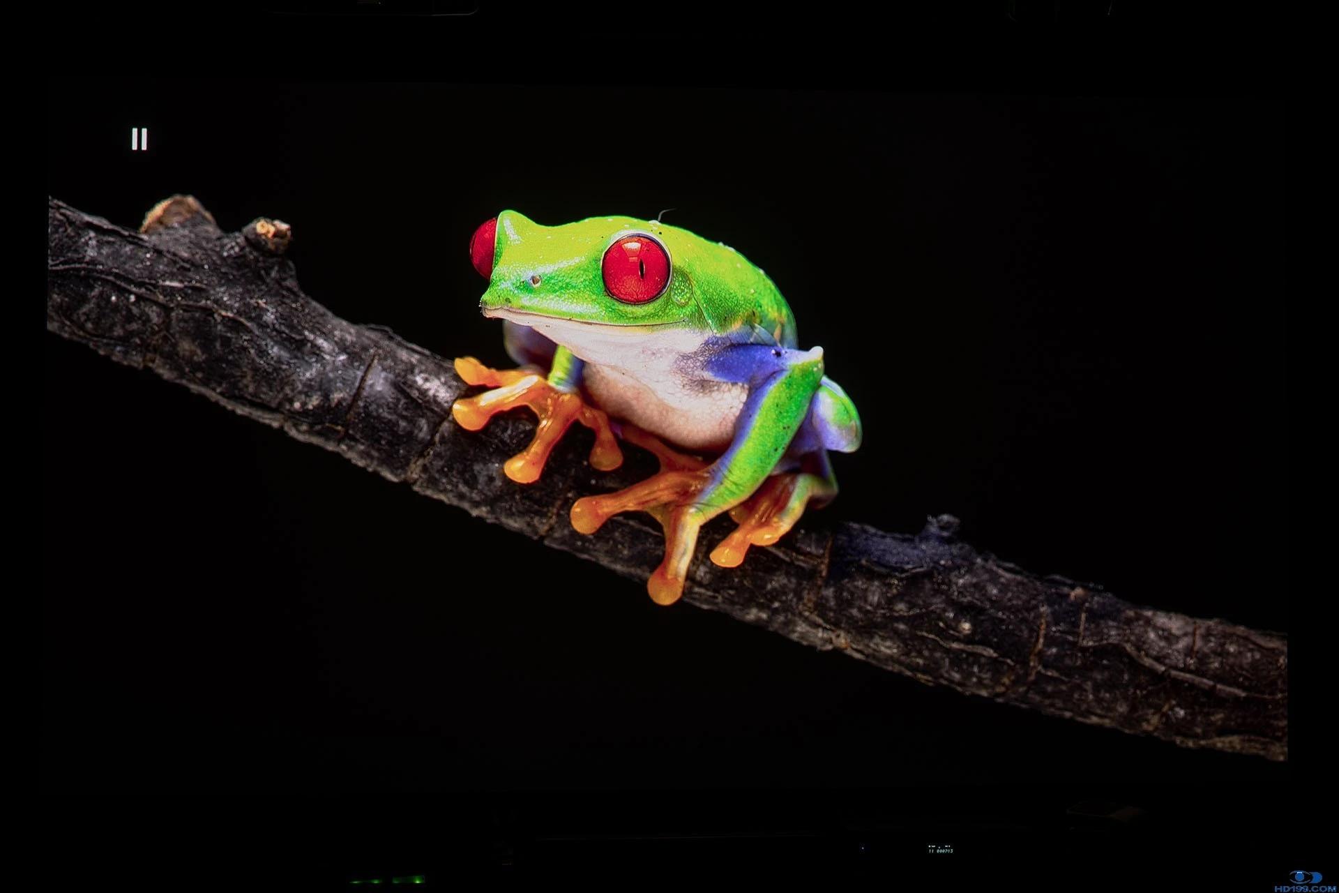 坚果n1sultra和极米rs10ultra哪个好,坚果投影仪n1sultra和n1ultra的区别