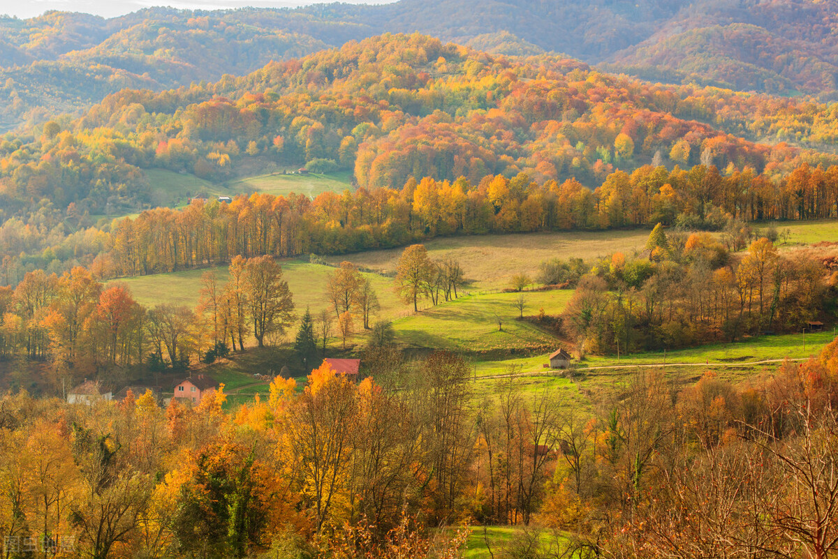 免费b2b信息发布推广平台,免费b2b电商平台推荐