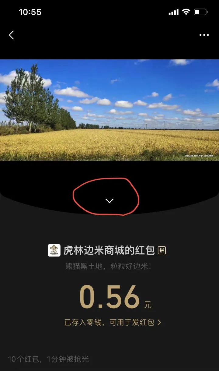 寰俊绾㈠寘灏侀潰鎬庝箞鍏戞崲,寰俊绾㈠寘灏侀潰鍒朵綔鏁欑▼鍏嶈垂