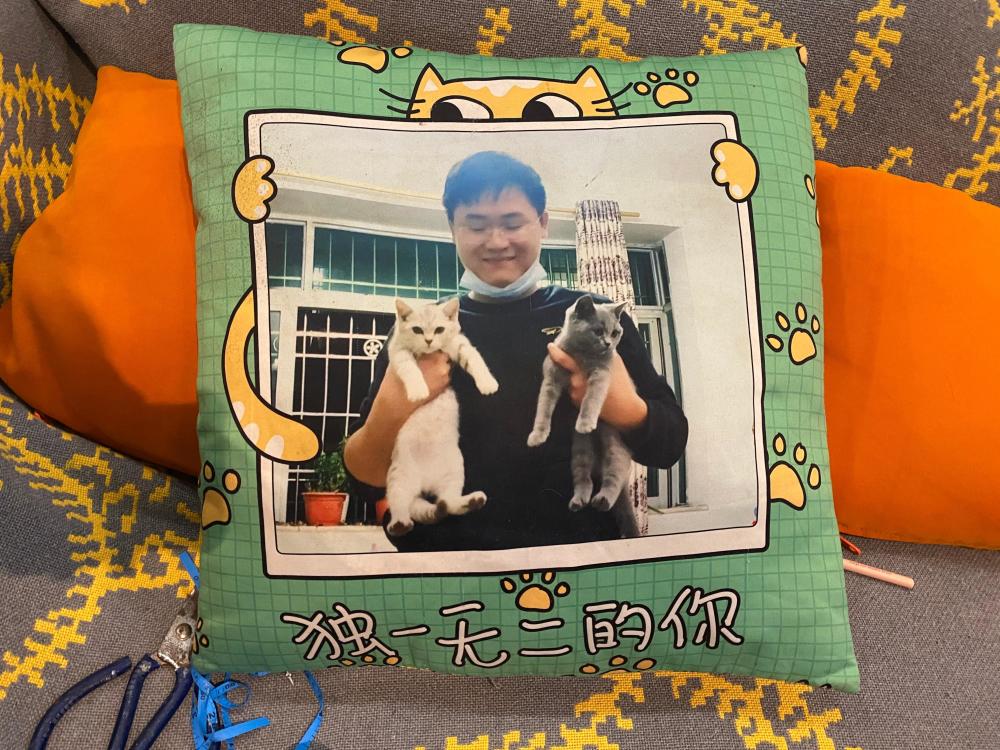 夫妻救助两条弃犬被控盗窃罪文书,喂养弃狗判刑后续