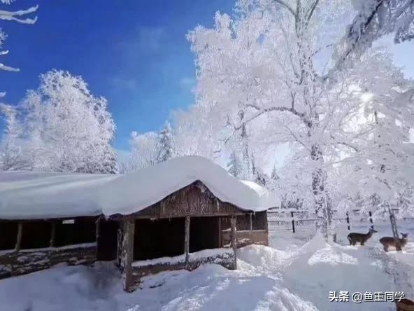 数九天从哪一天开始算,数九天怎么算出来的