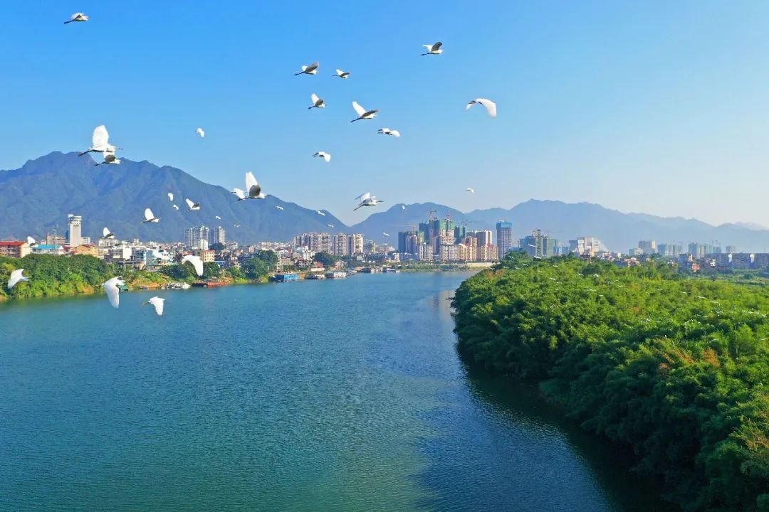 广西全域旅游县,广西刚火的旅游景点