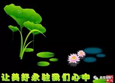 三月油菜香,阳春三月油菜花开春的味道