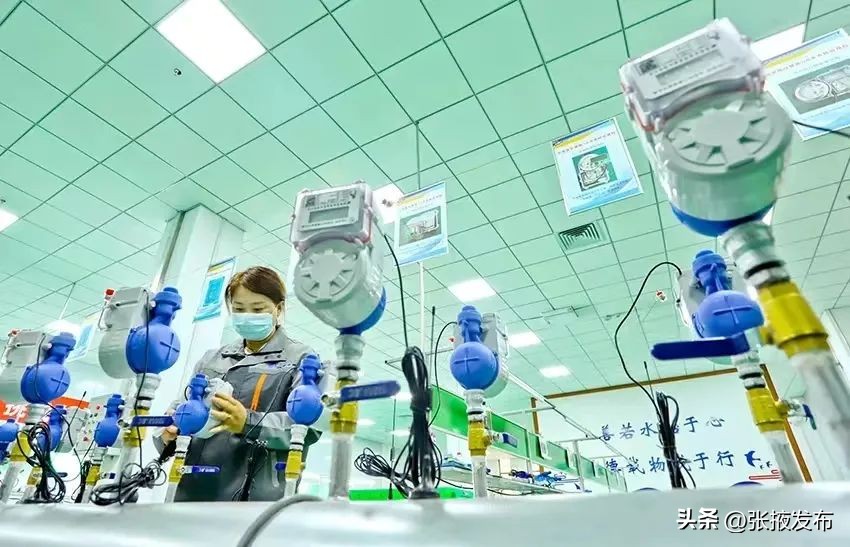 张掖：“绿”潮涌动绽华彩