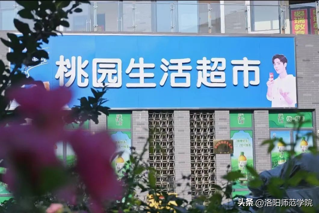 洛师王牌专业,洛师避雷