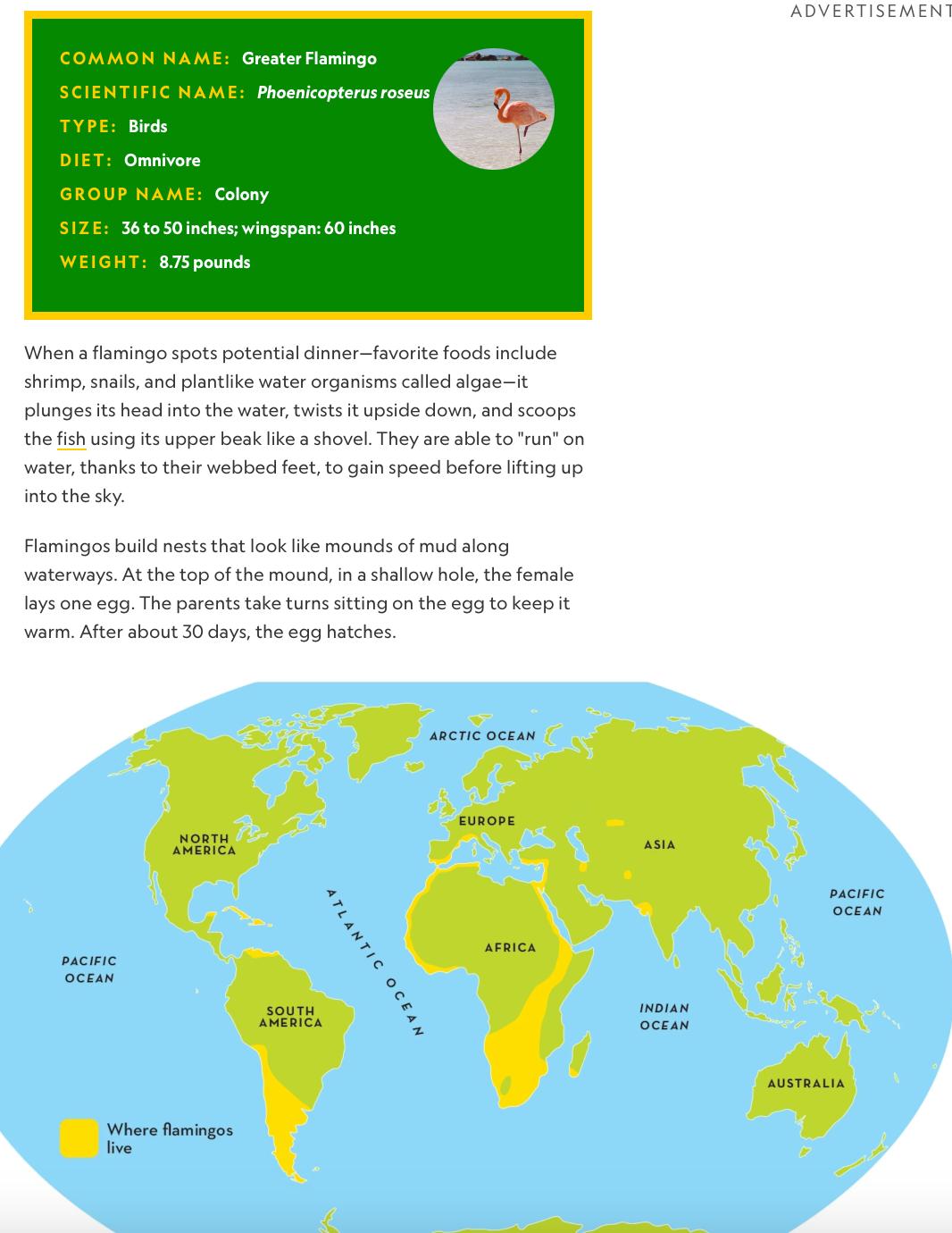 科学启蒙推荐视频,科学启蒙合集