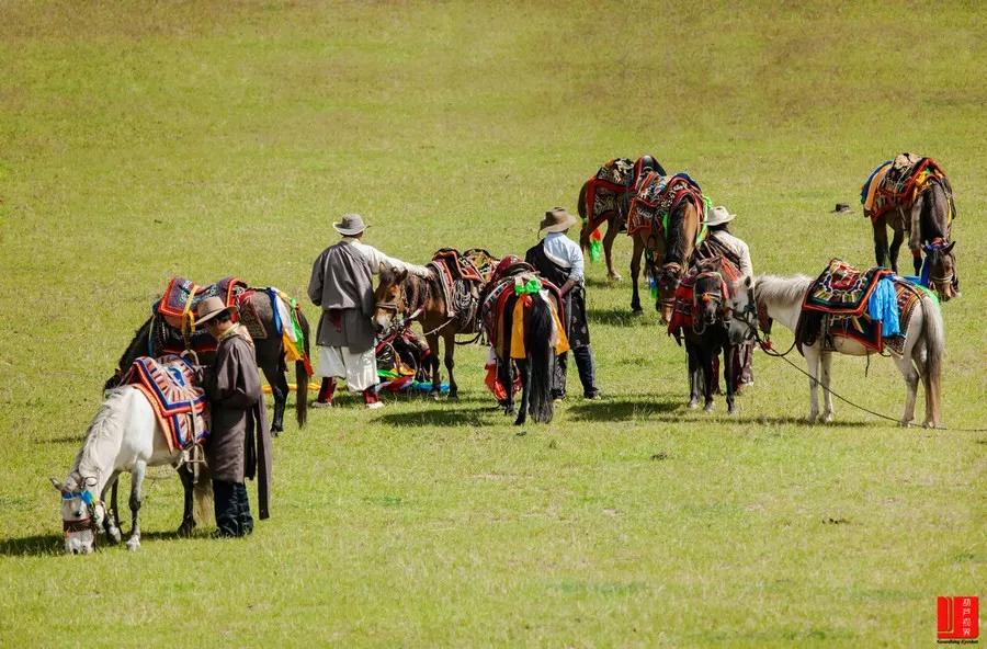 西北十大旅行攻略,西藏自驾游一日游攻略