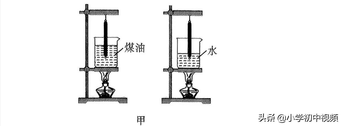 物理中考押题2024山东,2022高三物理押题卷